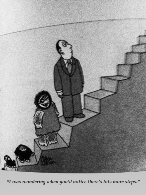 evolution_steps