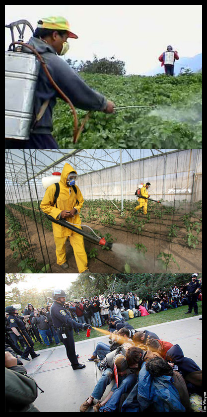 pesticide3